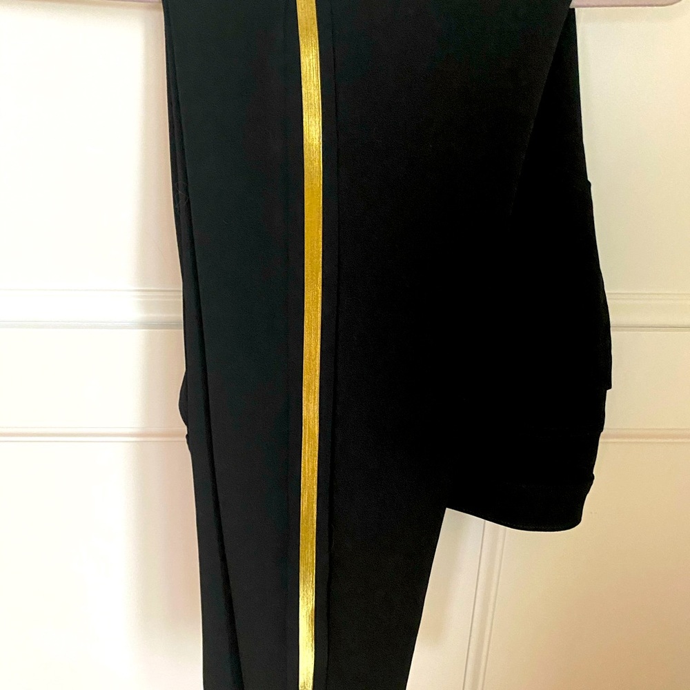 Express pants